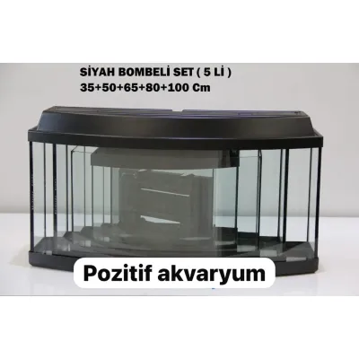 Akvaryum Seti Kalın Cam Bombeli 5 Li