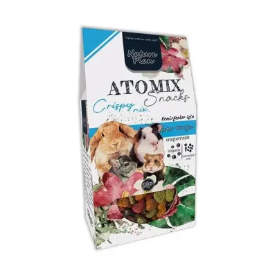 Nature Plan Atomix Çıtır Karışım 250 Gr